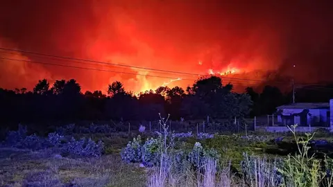 As lapas non dan tregua en San Cibrao, O&iacute;mbra. FOTO: Xos&eacute; Lois Colmenero.