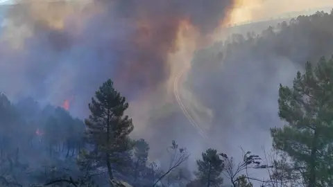 El incendio de Campobecerros sigue muy activo esta ma&ntilde;ana de lunes 15 de agosto. | FOTO: Xos&eacute; Barxa Branco.
