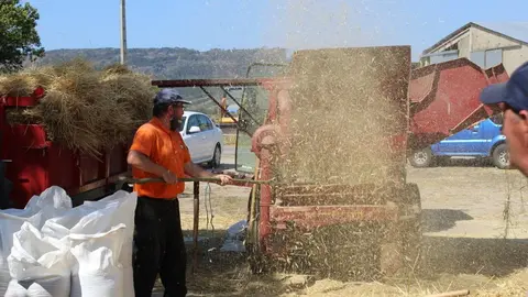 Festa da malla do 2019. | FOTO: Xos&eacute; Lois Colmenero.