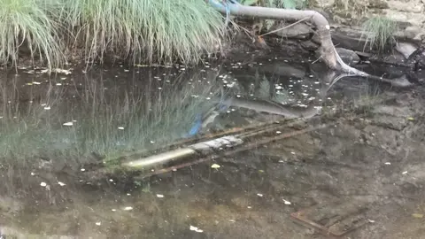 Estado do punto de captaci&oacute;n de auga no r&iacute;o en Ri&oacute;s.