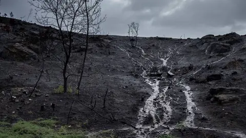 La lluvia arrastra los restos calcinados del incendio de Ver&iacute;n: | FOTO: &copy;Greenpeace/Pedro Armestre.
