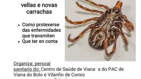 Cartel da charla informativa sobre carrachas en Viana do Bolo.