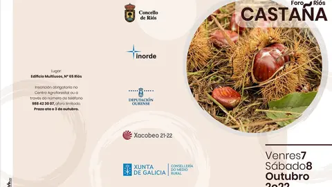 O primeiro Foro da casta&ntilde;a ter&aacute; lugar en Ri&oacute;s os d&iacute;as 7 e 8 de outubro.