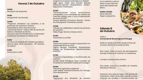 Programaci&oacute;n do Foro da Casta&ntilde;a de Ri&oacute;s.