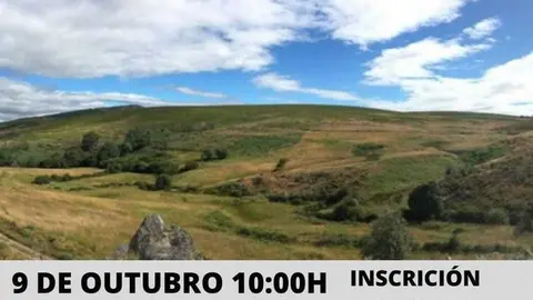 Cartel da actividade de observaci&oacute;n na Gudi&ntilde;a.