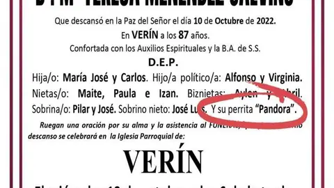 Tus familiares, Teresa, no se han olvidado de tu adorada "Pandora".