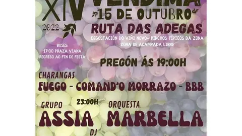 Cartel da festa en Punxeiro, Viana.