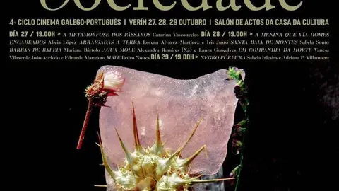 Cartel do 4&ordm; ciclo de cinema galego-portugu&eacute;s Mulleres, patrimonios e sociedade.