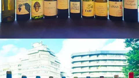 Vi&ntilde;os da D.O. Monterrei que se presentaron en Vigo.