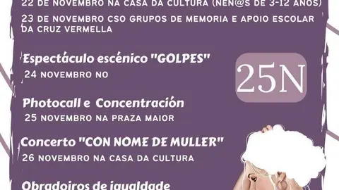 Cartel da programaci&oacute;n con motivo do 25N en Viana.