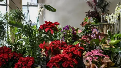 Florci&ntilde;as disp&oacute;n de todo tipo de flores para confeccionar as decoraci&oacute;ns das cerimonias. | FOTO: Noelia Caseiro.