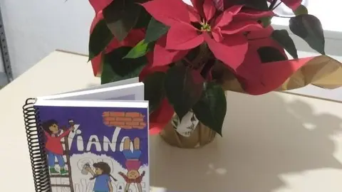 Axenda de Viana en Igualdade que reparte o CIM.