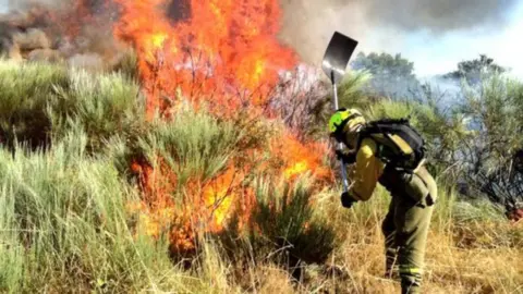 Incendio pasado en Covelo.