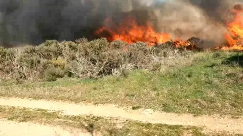 Incendio de Covelo ayer.