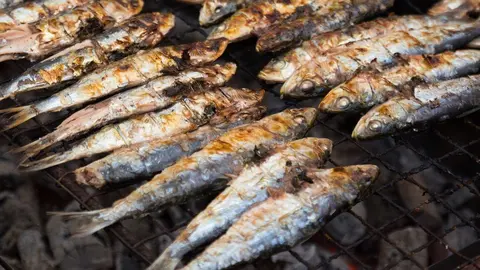 sardinas