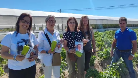 En la plantaci&oacute;n de pimientos.