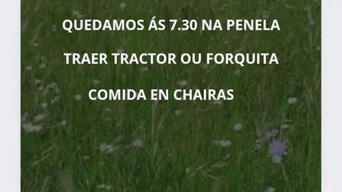 21 agosto, carrexada herba Lucenza