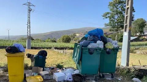 En Cerdedelo y Toro (Concello de Laza), en el mes de mayor afluencia de personas, los contenedores presentaban este aspecto.