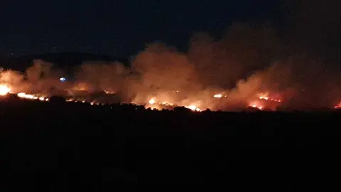 El incendio se declar&oacute; en torno a las 22:30 horas de este martes. | FOTO: Cedida.