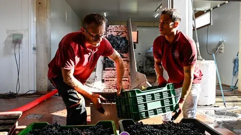 Se recolectaron casi 2 millones de kilos de uva tinta. En la imagen, dos operarios de Ladairo recepcionando cajas de uva en la bodega. | FOTO: Noelia Caseiro.