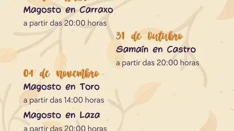 magostos laza