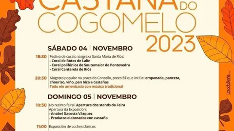 2023 11 4 festa casta&ntilde;a ri&oacute;s