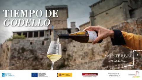 No ser&aacute; dif&iacute;cil encontrar esta publicidad en las vallas de las principales capitales gallegas.