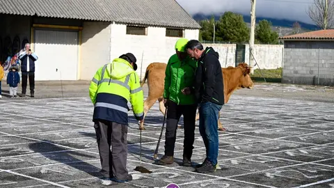 Componentes del equipo de jueces, determinando el lugar preciso de la cagada de "Ayuso". | FOTO: Noelia Caseiro.
