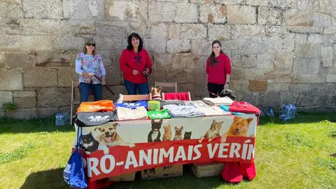 proanimales castelo 202204