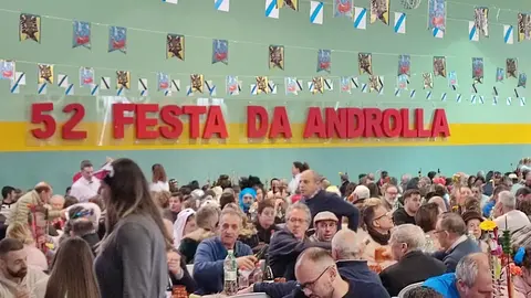 Festa androlla 2024 viana (17)