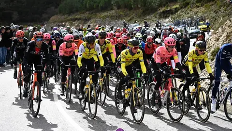 El pelot&oacute;n, subiendo A Requeixada, camino de A Alberguer&iacute;a, en el Concello de Laza. | FOTO: Noelia Caseiro.