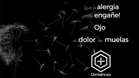 202405_Dentalnova_alerxias