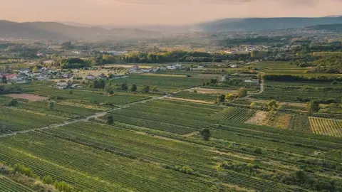 Ruta do Vi&ntilde;o de Monterrei