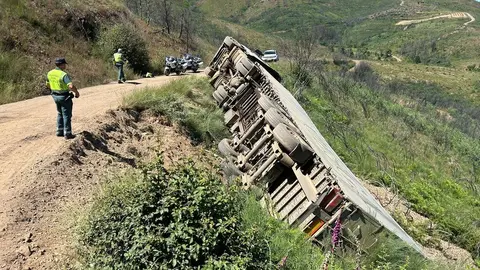 La pista en la que tuvo lugar el accidente &uacute;nicamente era usada por las empresas madereras destinadas en el lugar.