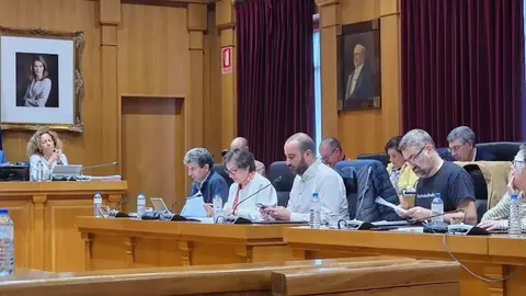 PSdeG Ourense, pleno deputaci&oacute;n abril