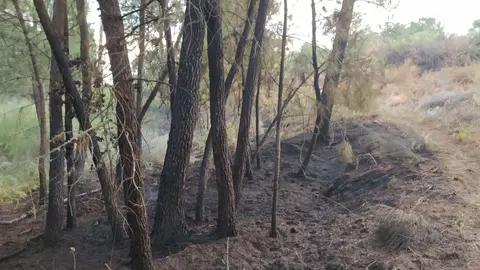 20240626 Conato de incendio en A Rasela, Ver&iacute;n