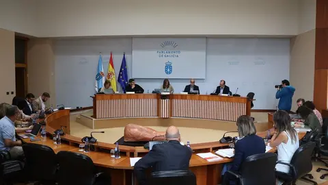 Comisi&oacute;n 2&ordf;, Ordenaci&oacute;n Territorial, Obras P&uacute;blicas, Medio Ambiente e Servizos, celebrada o 11 de xullo de 2024. Acordo inicio reforma Ou-533