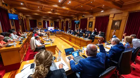 Pleno ordinario da Deputaci&oacute;n Ourense correspondente &oacute; mes de xullo. Asisten Lu&iacute;s Menor P&eacute;rez (Presidente Deputaci&oacute;n); Marta N&oacute;voa Iglesias (VicePresidenta 1&ordf;); Cesar Fern&aacute;ndez Gil (VicePresidente 2&ordm;); Placido &Aacute;lvarez Doba&ntilde;o (VicePresidente 3&ordm;); Rosendo Fern&aacute;ndez; Jorge Pumar Tesouro (Deputado PPOU); Jos&eacute; Miguel P&eacute;rez Blecua (Deputado PPOU); Manuel Seoane Rodr&iacute;guez (Deputado PPOU); Patricia Torres Madureira (Deputado PPOU); Mar&iacute;a del Carmen Gonz&aacute;lez Quintela  (Deputada PPOU); Jos&eacute; Mar&iacute;a Lago Cabo (Deputado PPOU); Mar&iacute;a Teresa Barge Bello (Deputada PPOU); Jos&eacute; Ignacio G&oacute;mez P&eacute;rez (Deputado PSOE); Elvira Lama Fern&aacute;ndez (Deputado PSOE); Diego Fern&aacute;ndez Nogueira (Deputado PSOE); Susana Rodr&iacute;guez Est&eacute;vez (Deputado PSOE); Marina Vaz Quintill&aacute;n (Deputada PSOE); &Aacute;lvaro Vila Araujo (Deputado PSOE); Aurentino Alonso Araujo (Deputado PSOE); Armando Ojea Bouzo (Deputado DO); Gonzalo P&eacute;rez J&aacute;come (Deputado DO); Rafael Mart&iacute;nez Cachafeiro (Deputado DO); Bernardo Varela L&oacute;pez (Deputado BNG), Xos&eacute; Manuel Puga Gonz&aacute;lez (Deputado BNG), Mar&iacute;a Jos&eacute; Mangana Guede (Deputada BNG), M&oacute;nica Legaspi (Interventora Deputaci&oacute;n Ourense) e Juan Marquina (Secretario Deputaci&oacute;n Ourense).