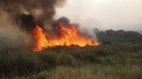 Incendio de A Mezquita, esta tarde, a la llegada de la BRIF de Laza. | FOTO: BRIF Laza.