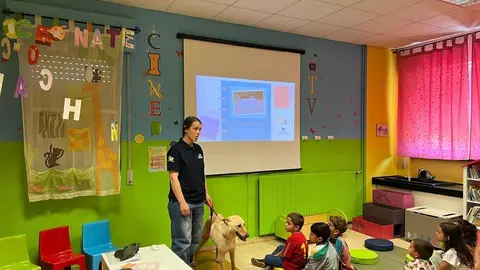 CEIP O Casti&ntilde;eiro de Laza_biblioteca escolar (4)