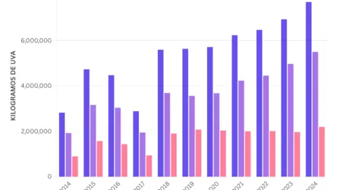 La Denominaci&oacute;n de Origen Monterrei se sit&uacute;a cerca de los 8.000.000 de kilogramos.