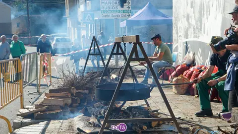 casta&ntilde;a rios-162
