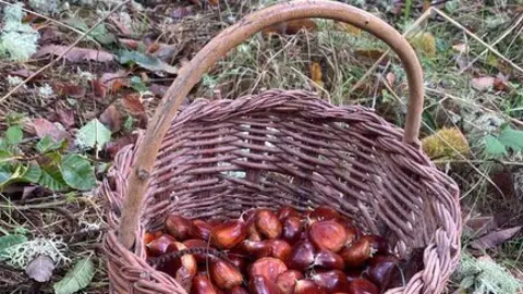 Una cesta de casta&ntilde;as de esta temporada.