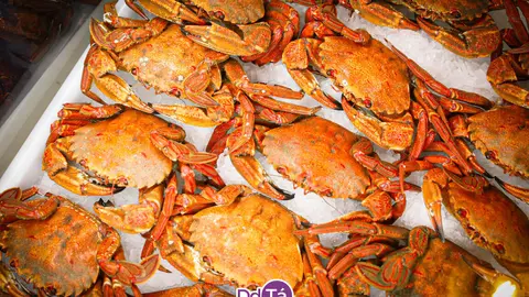 202412 A Peixer&iacute;a_Nadal-03