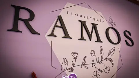 FLORISTERIA RAMOS NAVIDAD 2024-41