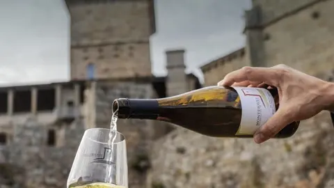 Vi&ntilde;os DO Monterrei vino godello castelo