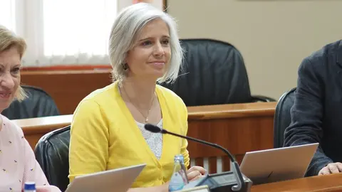 Patricia Iglesias, portavoz de Calidade Democr&aacute;tica do PSdeG