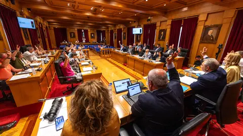 Todos los diputados provinciales secundaron la moci&oacute;n contra la decisi&oacute;n de Renfe.