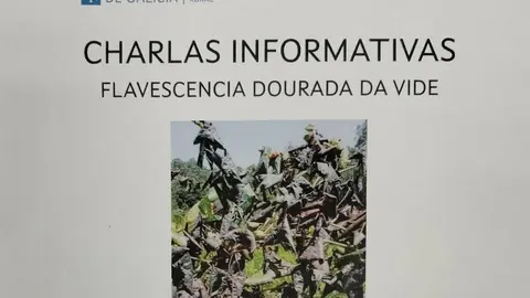 flavescencia dourada vide, charlas medio rural