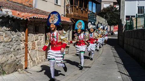 Cigarr&oacute;ns de Ver&iacute;n.
